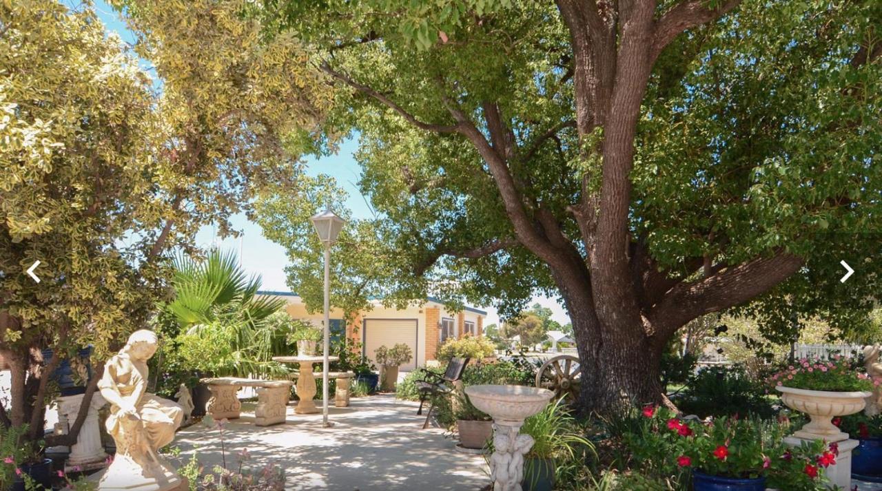Sturt Motel Balranald Exteriér fotografie