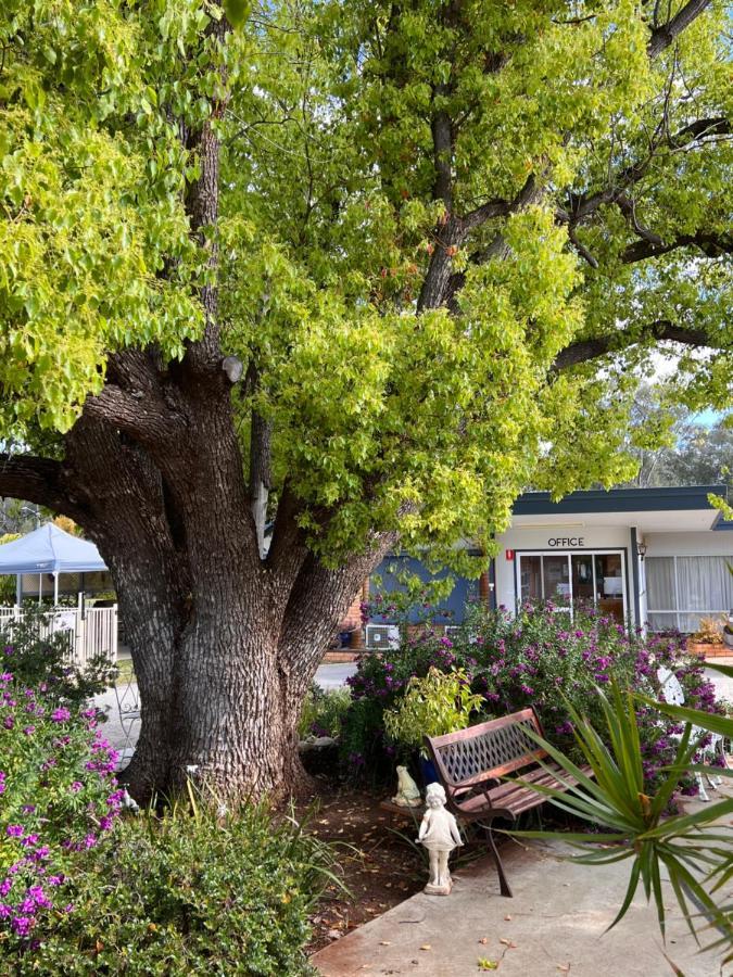 Sturt Motel Balranald Exteriér fotografie